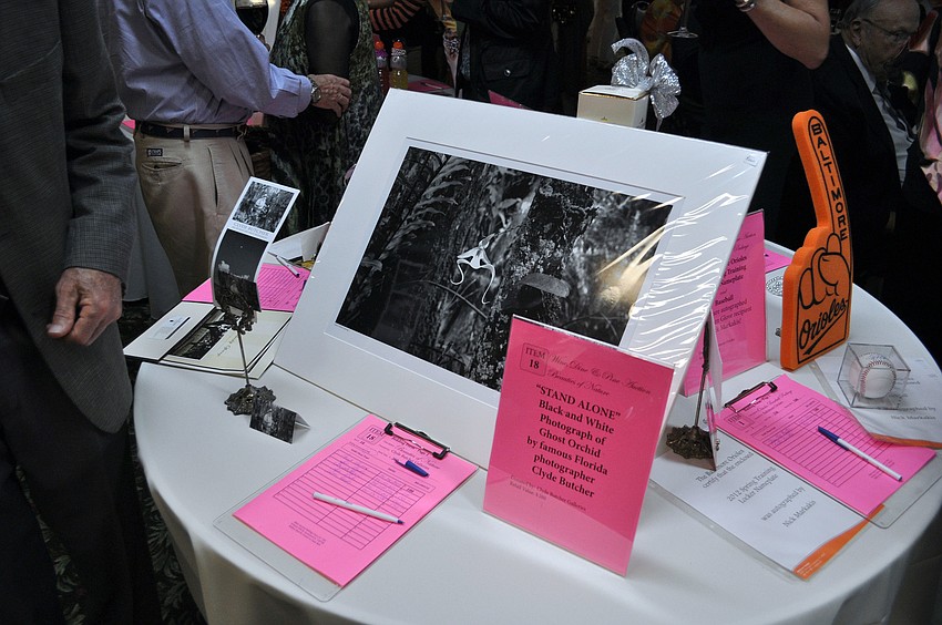 Many people had fun bidding on a wide variety of auction items including this print by Clyde Butcher Thursday, Nov. 29, at the third annual Wine, Dine and Pine event at The Marie Selby Gardens.