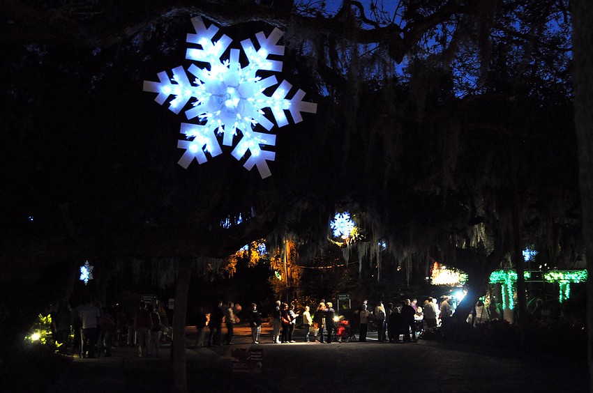 People waited in line outside of Marie Selby Botanical Gardens to go and take part in the annual Lights in Bloom event.