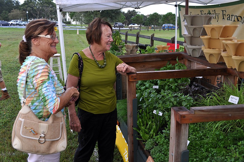 Penny Royal and Pat Keller take a look at the herbs being sold at the Dufour Family Farms trailer Wednesday, Oct. 3 at the Phillippi Farmhouse Market.