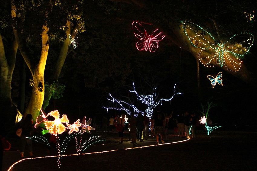 The gardens were filled with garden-themed lighting displays, including larger than-life-sized butterflies, tree frogs, dragonflies and flowers and a brand new snowfall tree.