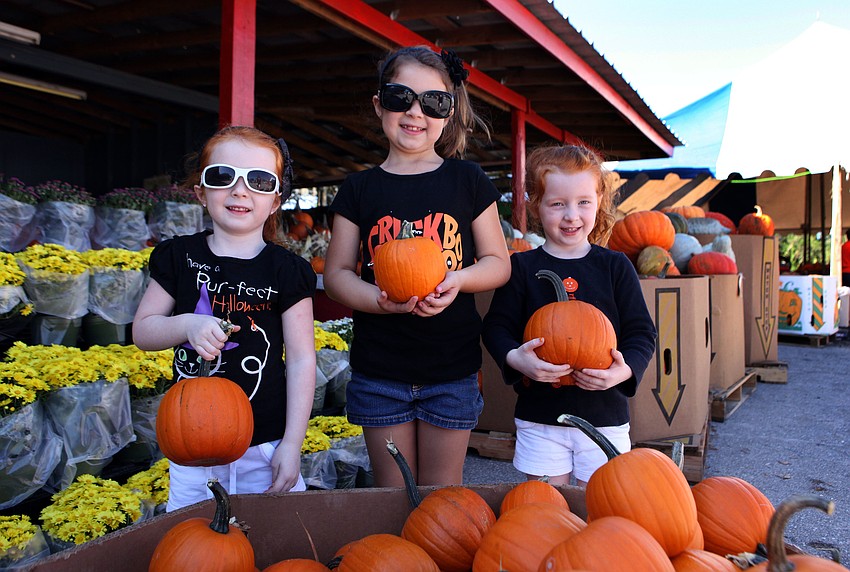 Alyssa, 4, Mallory, 7, and Haley Carriker, 4, have fun picking out their own small pumpkins Saturday, Oct. 20, at the Fruitville Grove Pumpkin Festival.