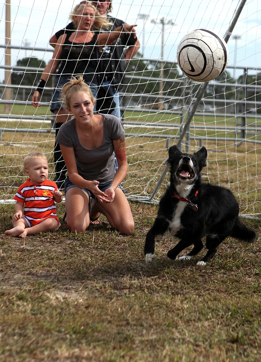 Jeanette Jehle and her son Nathan Crowe, 1 Â½, have fun watching Ms. Z go after the soccer ball they threw while participating in the Soccer Collies show Saturday, Oct. 27, at the Sarasota Pumpkin Festival.
