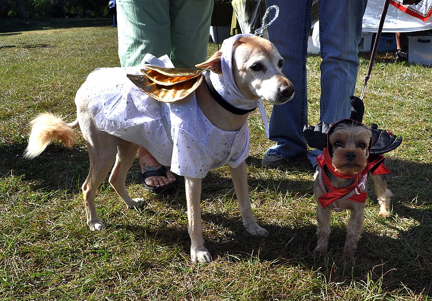 Beans, 8, and Bella, 2, dressed as an angel and the devil, Wednesday, October 31, for the Phillippi Farmhouse Market Howl-O-Ween.