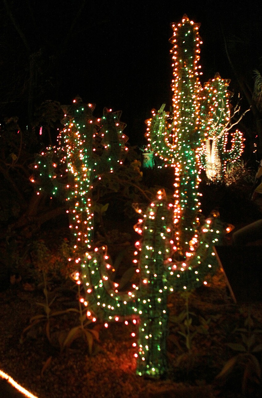 A cacti light display.