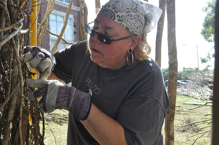 Rebecca Tarpley moved to Sarasota just before Thanksgiving and decided to volunteer because she wants to get involved in an art project.