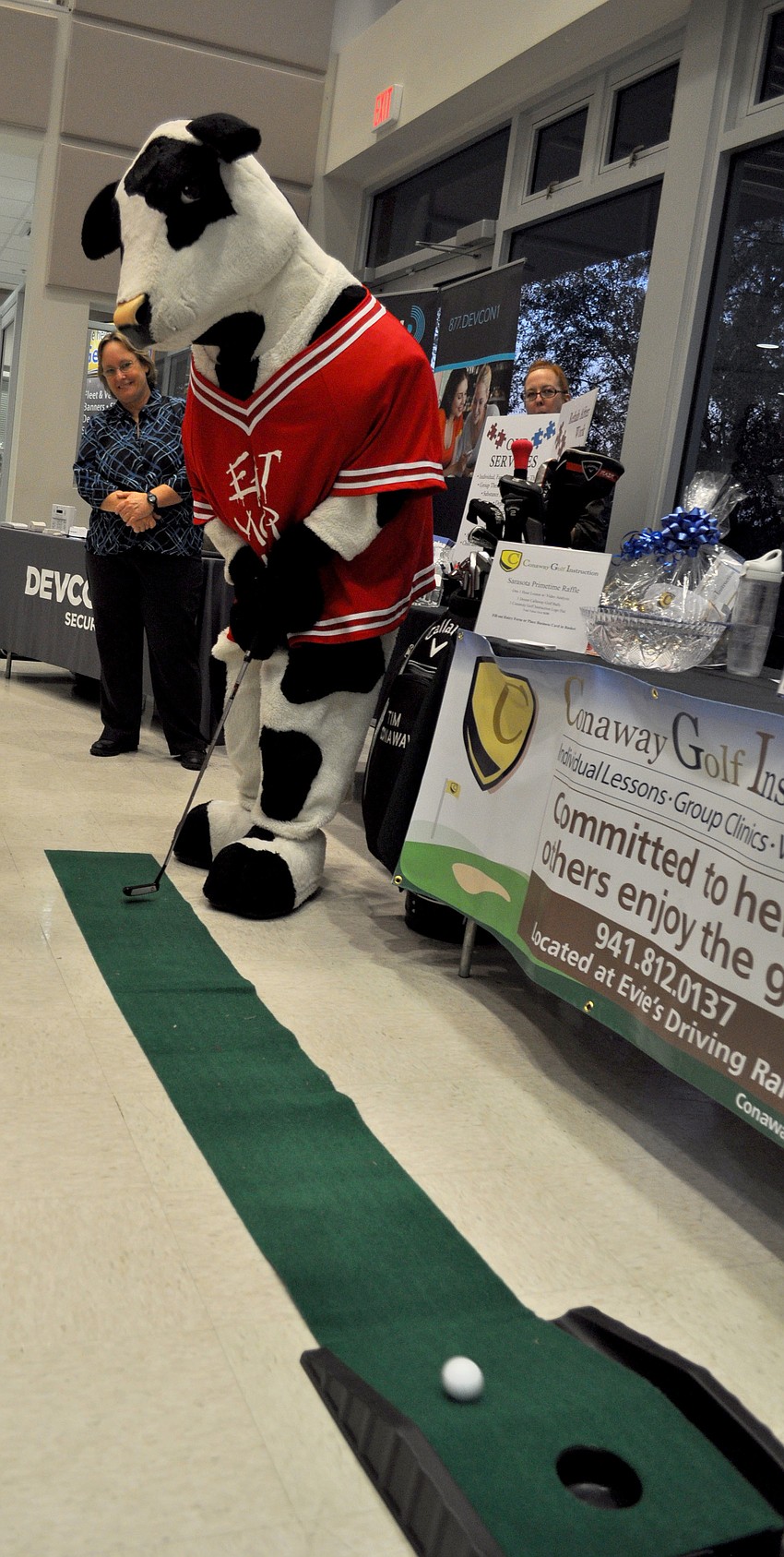 The Chick-Fil-A cow attempts a putt.