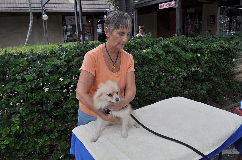 Sylvia Edmonds practices dog massage on Connie Lewisâ€™ dog, Oliver.