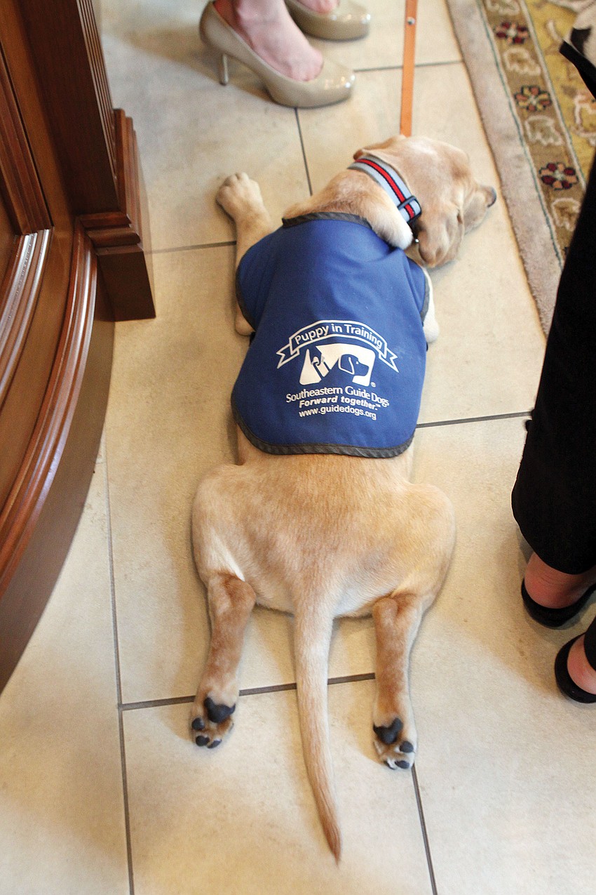 Porter splays out on the floor at Premier Sothebyâ€™s.