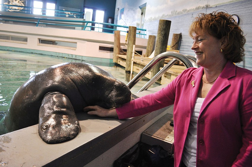 South Florida Museum Executive Director Brynne Anne Besio, a resident of Lakewood Ranch, loves to visit Snooty, who will celebrated his 64th birthday July 21. Published July 19, 2012.