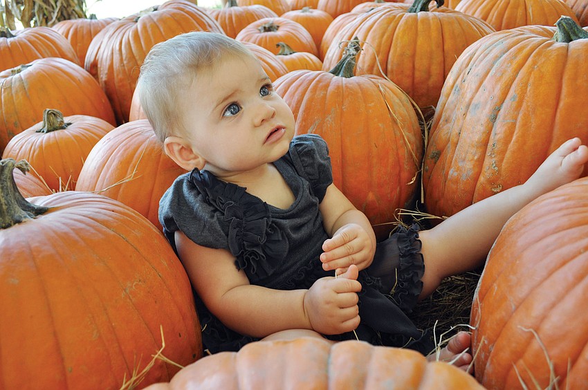 Eight-month-old Emma Pillsbury looks picture-perfect, during the Hunsader Farms Pumpkin Festival. Published Oct. 18, 2012.