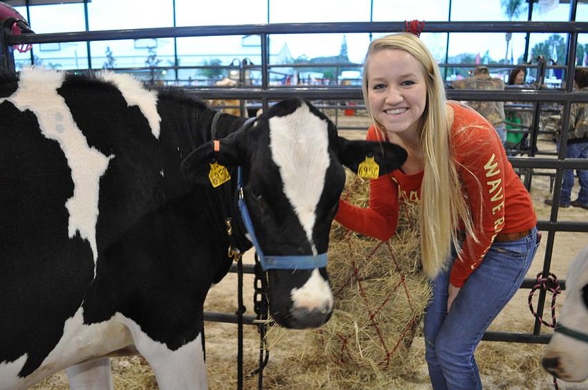 Rachel Lightner, a junior at Braden River High School, showed her heifer, Annabelle.