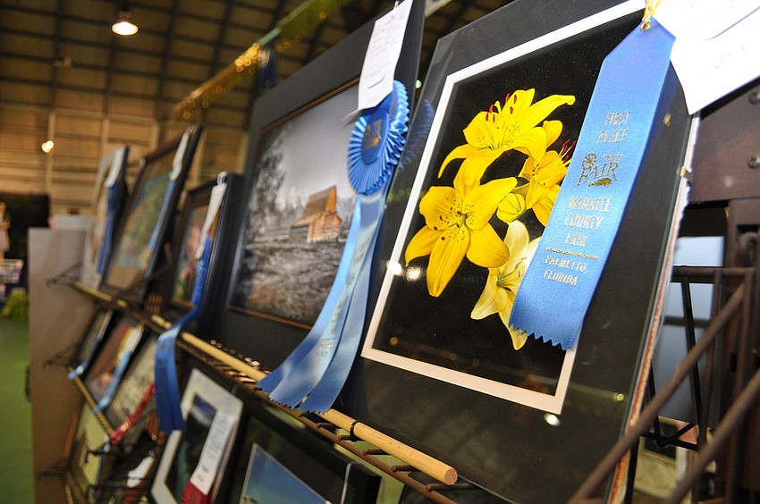 Fair-goers perused the best works of Manatee County residents, including these photographs.