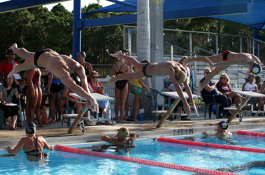 Swimmers dive off into the water Wednesday, Sept. 12 during a swim meet at the Sarasota YMCA at Potter Park.
