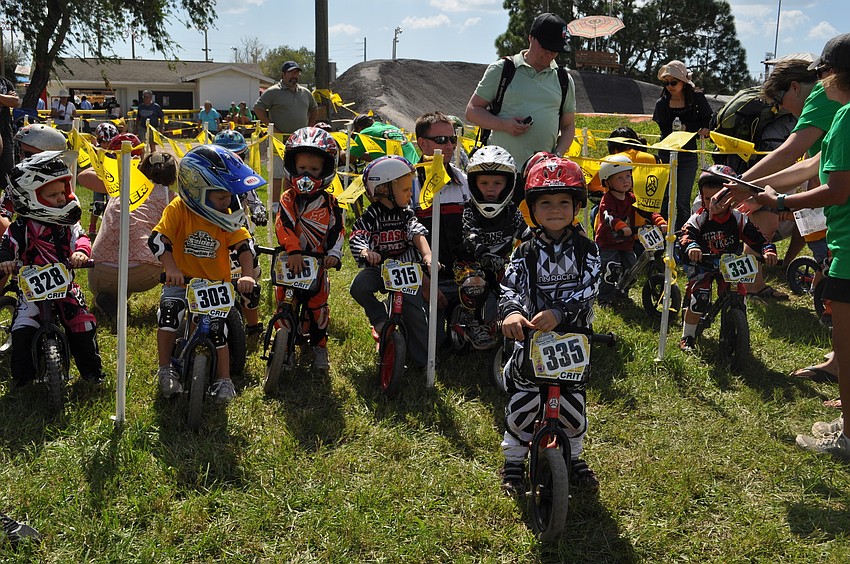 Three-year-olds line up before the start of the race.