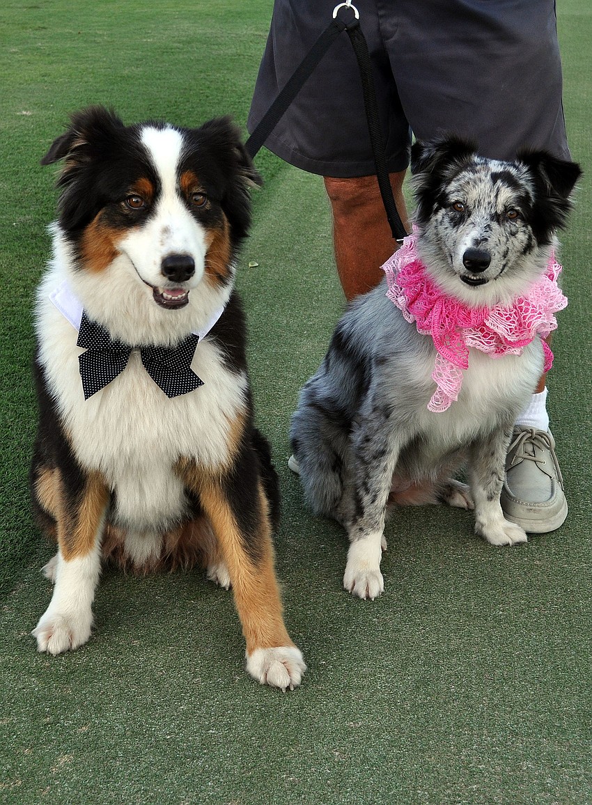 Colbey, 2, and Cheyanne, 1