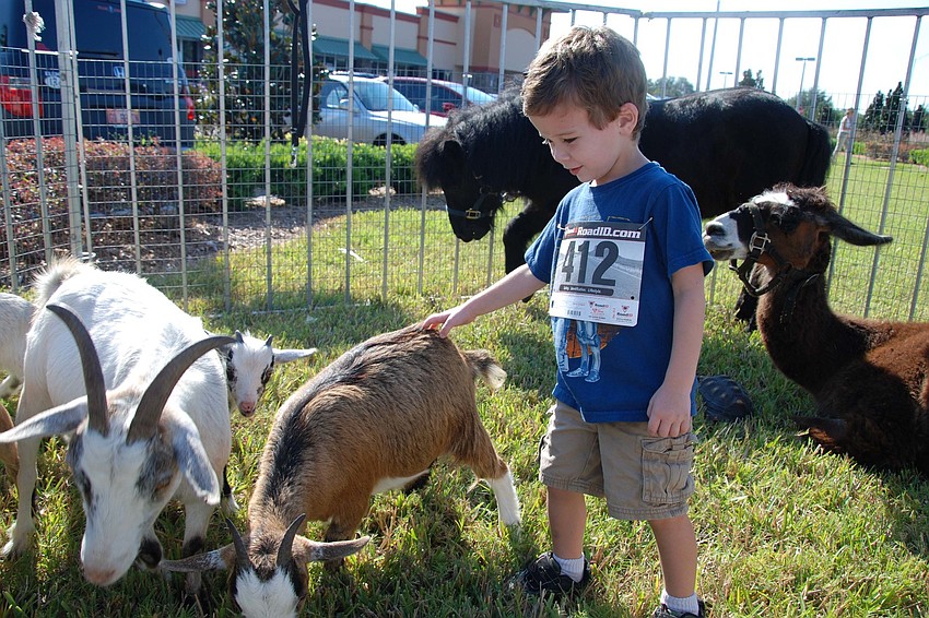Brennen Ricci, 3, was excited to pet the goats from Rosaireâ€™s Riding Academy.