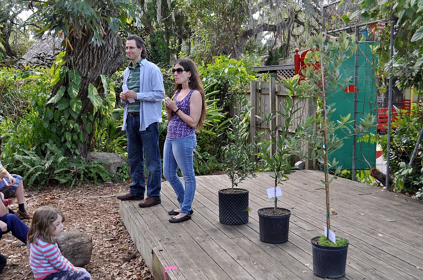 Rabbis Brenner and Elaine Glickman show off three trees, to be planted at Temple Emanu-El in celebration of Tu B'Shevat.