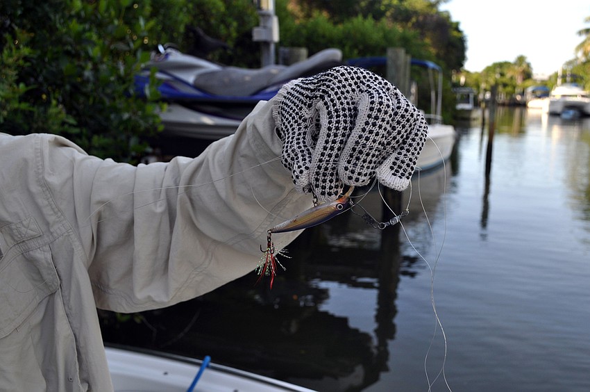 One of many fishing lures found Saturday, Sept. 29 during the third annual Sarasota Bay Watch monofilament clean up.