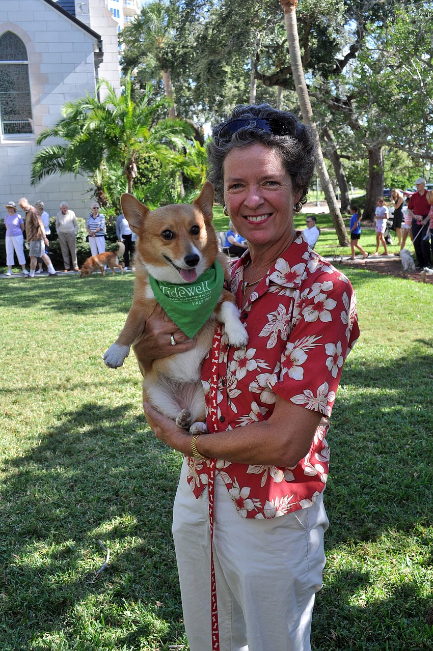 â€œShe loves to work,â€ said Catherine Ferretti of her Welsh corgi, Ginger, who works as a therapy dog.