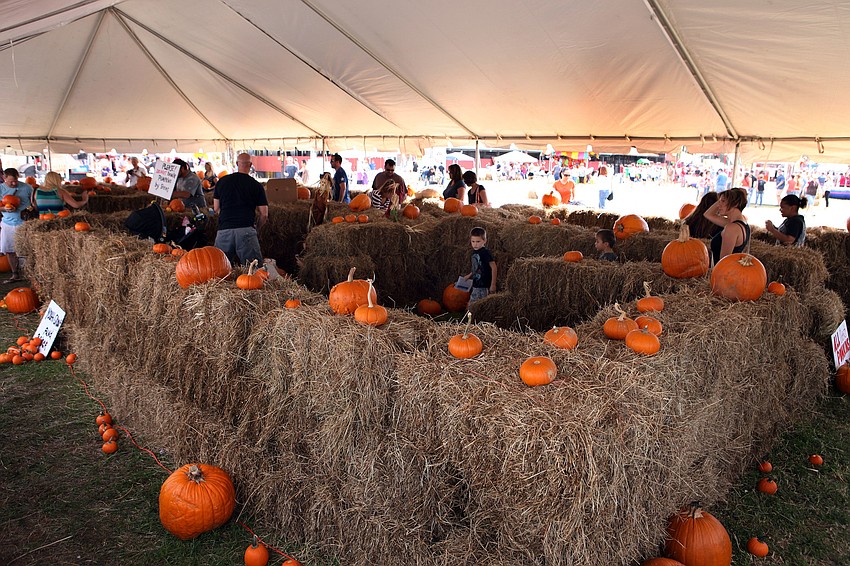 Children and adults had fun making their way through the hay maze and finding pumpkins to purchase.