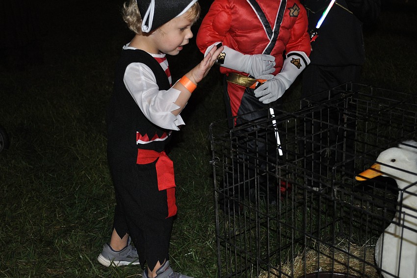 Dalton Koch waved to a duck.