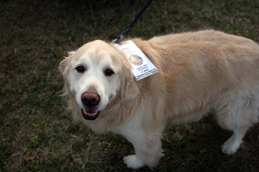 Haley had her own nametag at the 6th annual Gathering of the Faithful 2013.