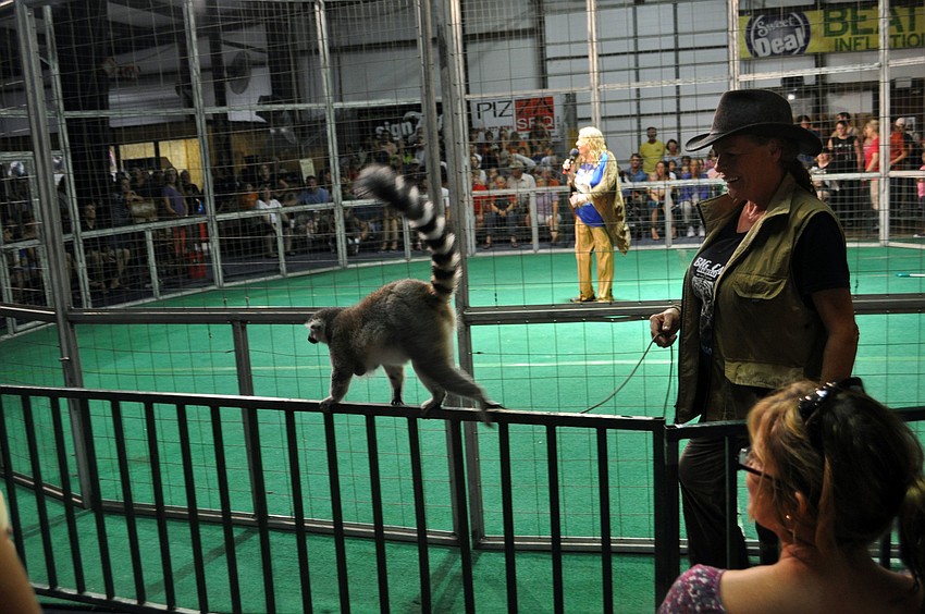 Pam Rosaire leads a lemur around the audience.
