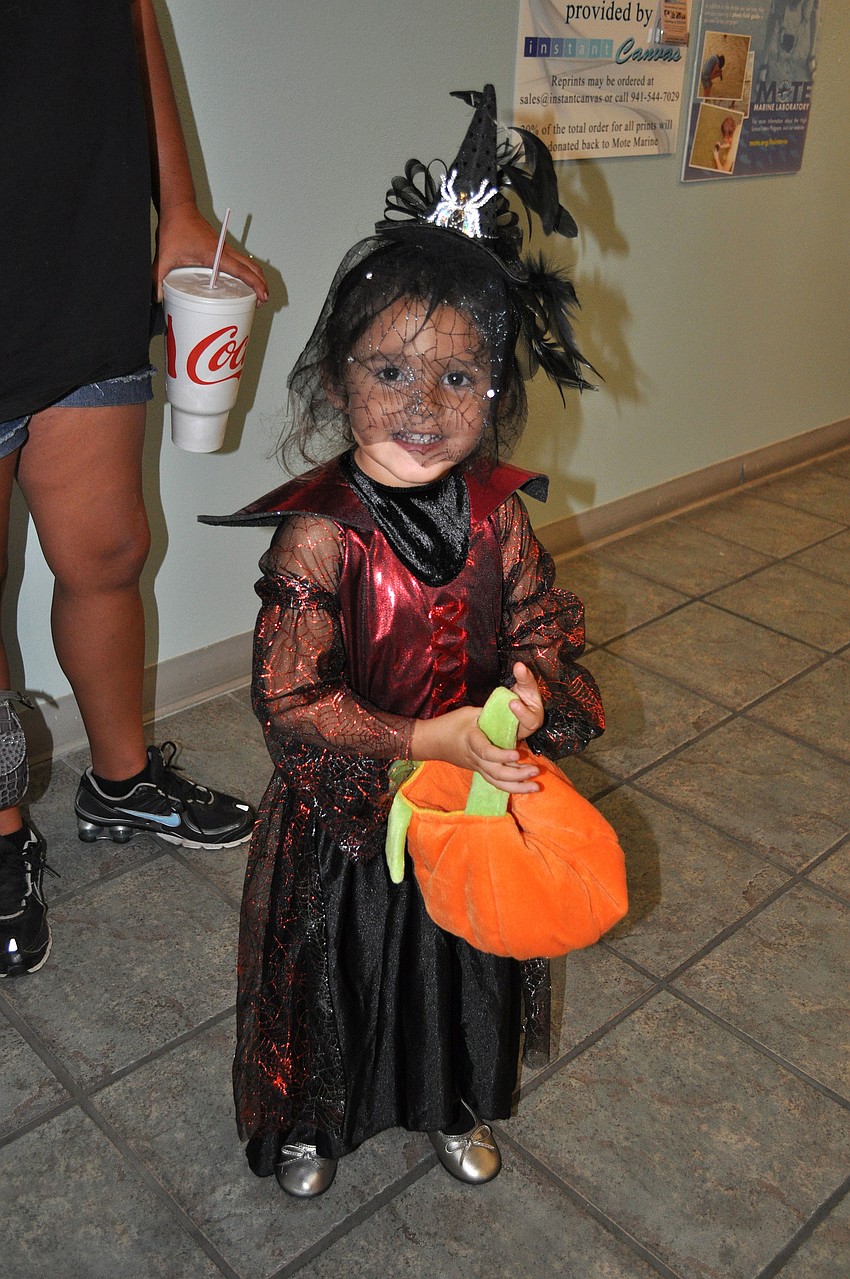 D'Anna Johnson, 2 Â½