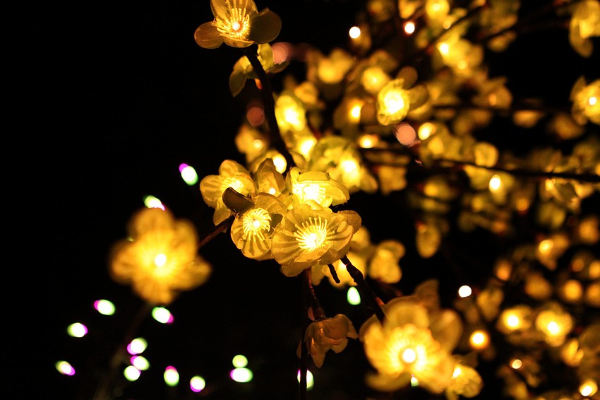 A close-up shot of a bundle of flower shaped lights.