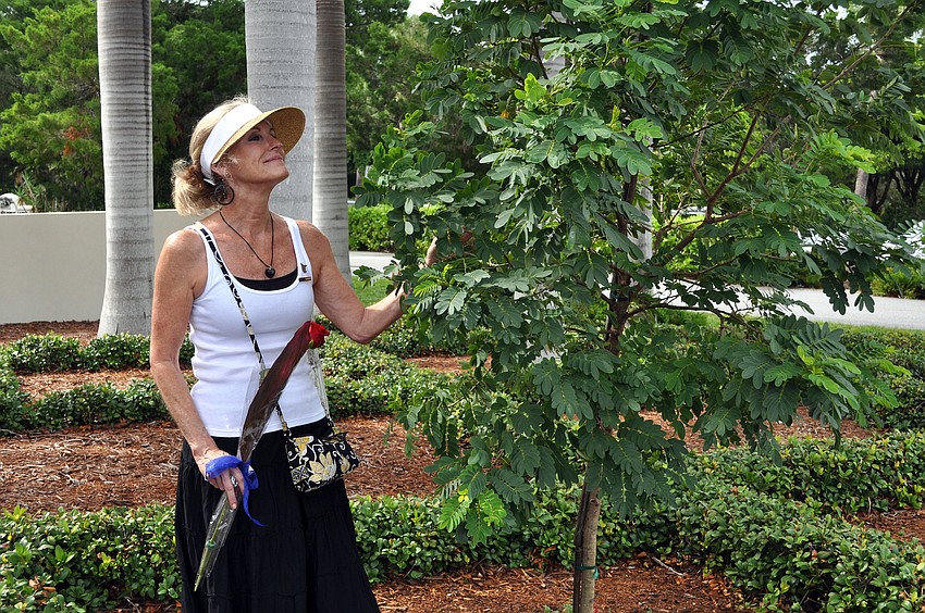 Leslie Hogle touches the leaves on the tree planted in Al Hogleâ€™s honor Wednesday, Oct. 3 at the Longboat Key Police Station. The cassia fistula will have yellow blooms in the spring, like Hogle's beloved yellow sports car.