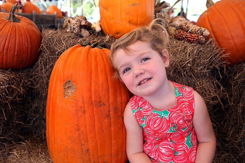 Caroline Lambert, 2 Â½, leans against a big pumpkin in the pumpkin patch at the Fruitville Grove Pumpkin Festival. Lambert even wore her Lilly Pulitzer pumpkin dress to the festival.