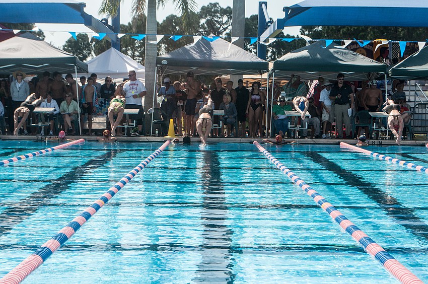 Swimmers dive off the blocks to swim the 100-yard breaststroke.