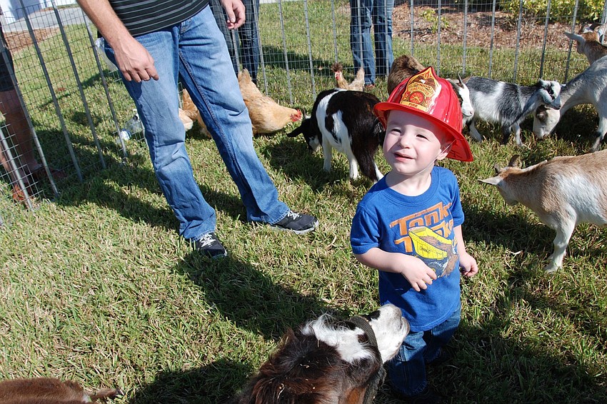 Ty Patterson, 2, poses for a quick picture before going back to playing with the animals of the petting zoo.