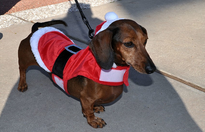 Kate, 6, wore a cute Santa suit with a hood.