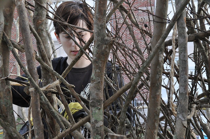 Miranda Thomas is a student studying 3D drawing at Ringling College of Art and Design