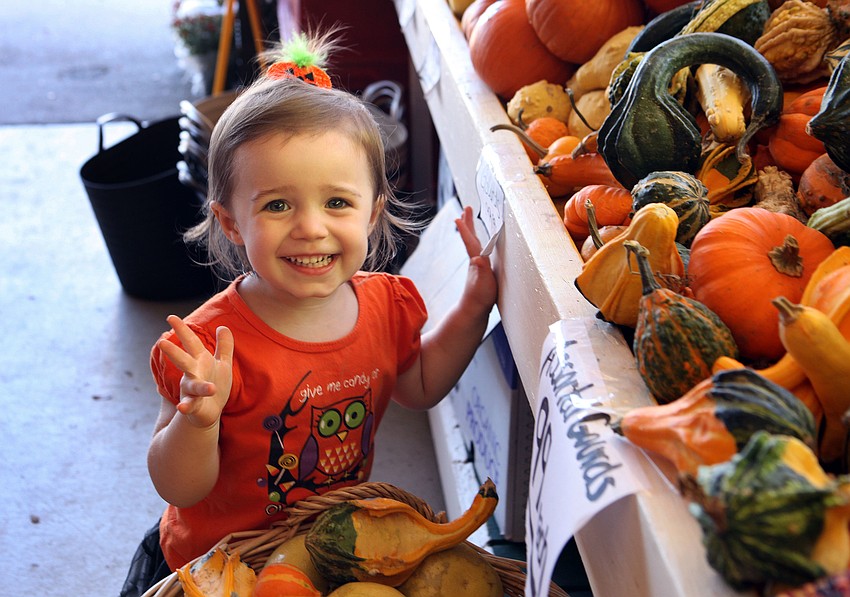 Taylor Lane, 2, has fun playing with the mini pumpkins and gourds.