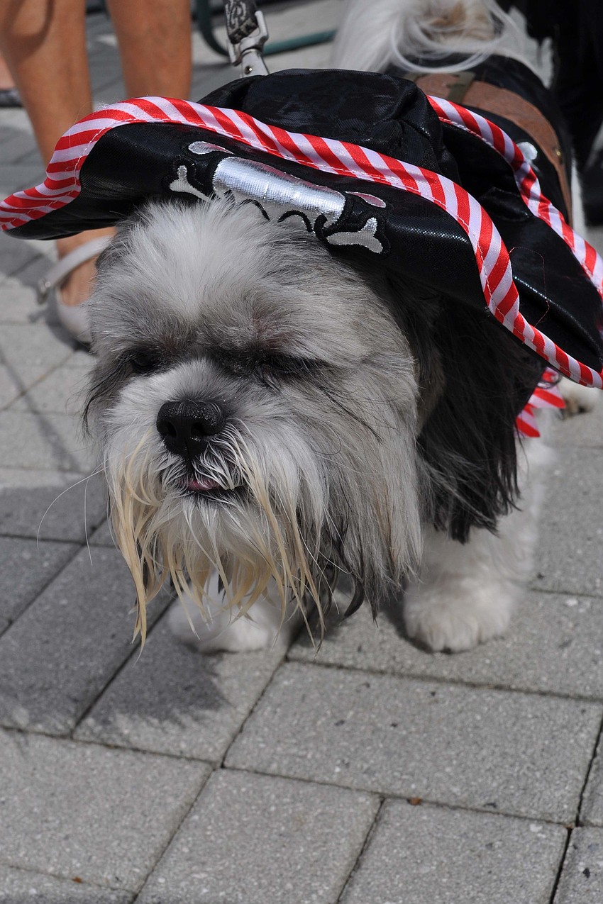 Charlie, owned by Judy DeFusco, won the costume contest.