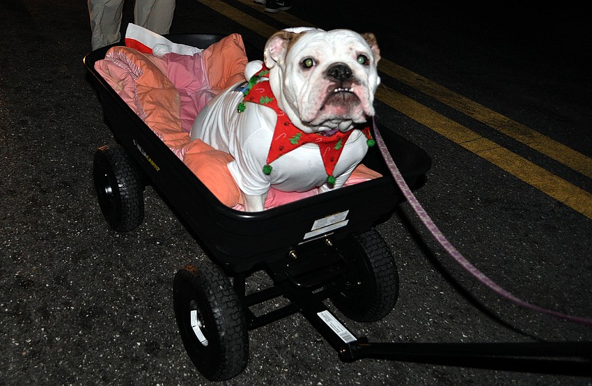 Lola rode in a wagon as part of Coldwell Bankerâ€™s group during the parade.