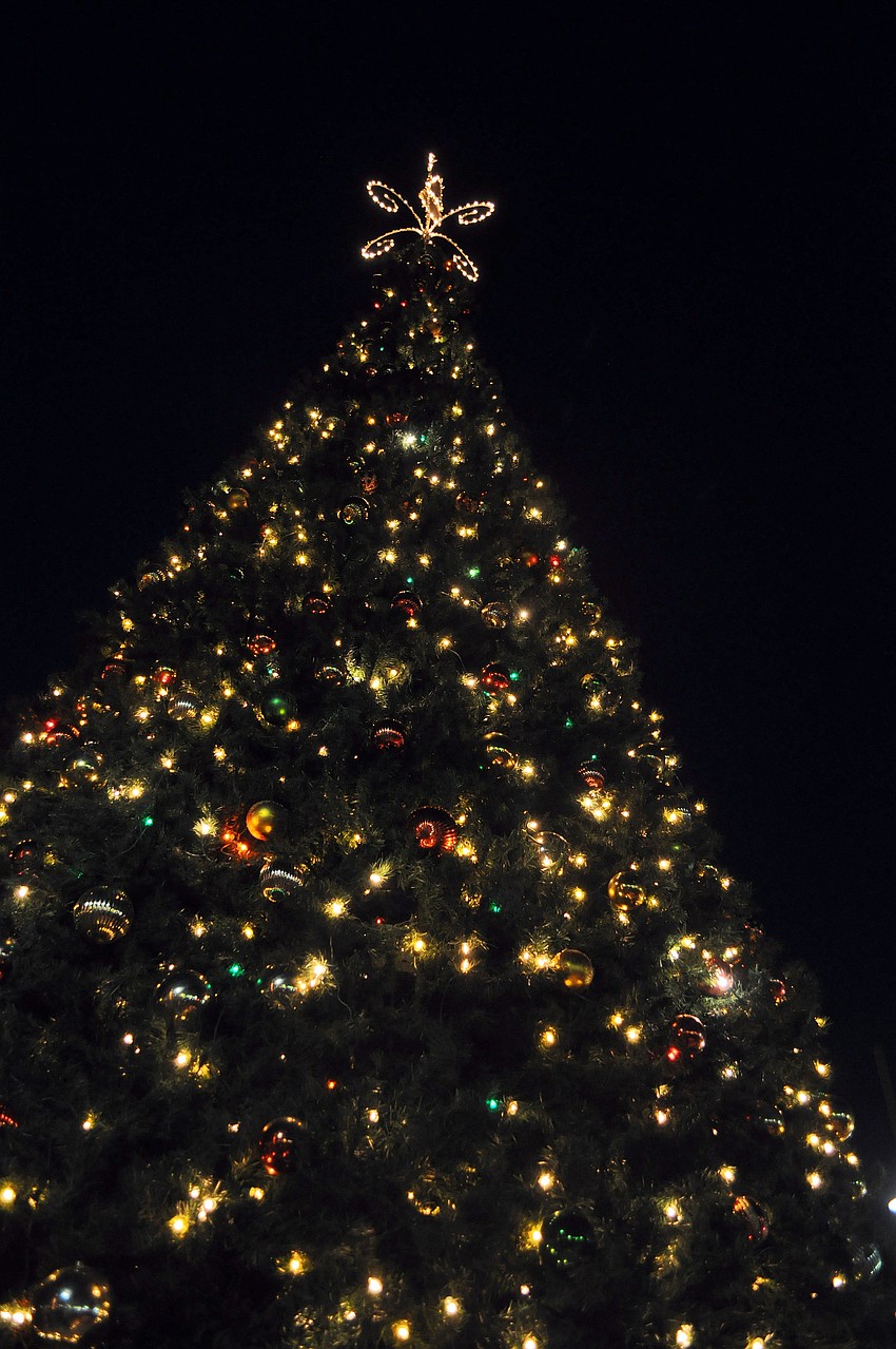 The St. Armands tree is four stories tall.