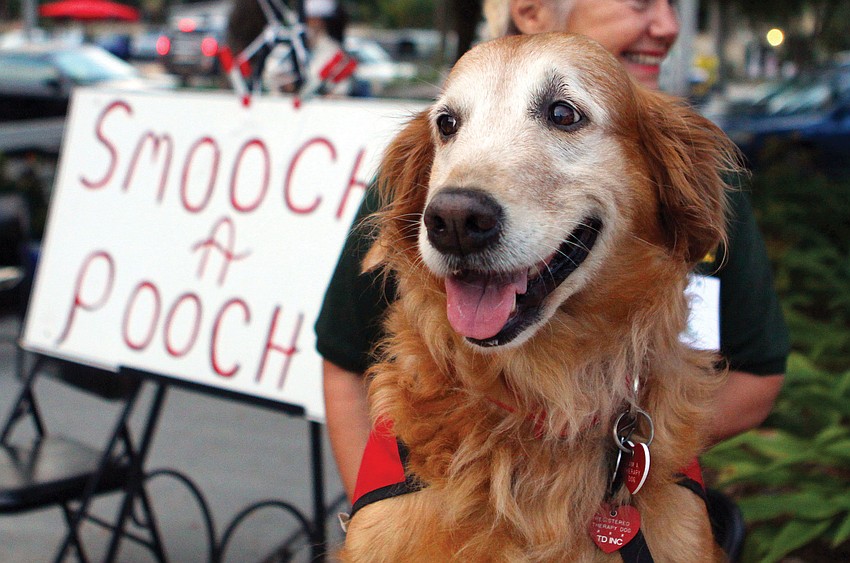 Casey was one of the many pooches who gave out kisses at the Humane Society of Sarasota Countyâ€™s Smooches for Pooches and Kisses for Kitties event at Southside Village.