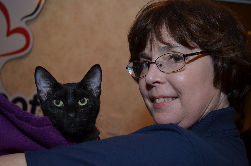 Rusty Fender with Parsley