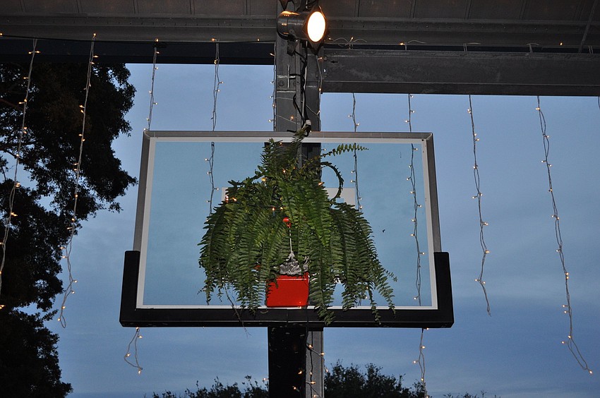 A fern basket was placed in some of the basketball hoops as part of the decoration for the Banyan Bash.