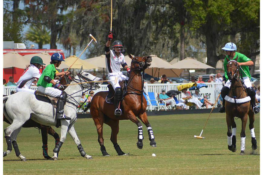The Sarasota Polo Club was founded in 1991.Â