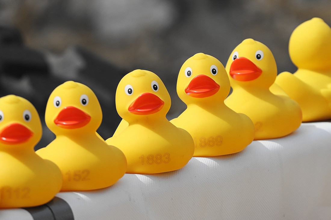 Head to the Tomoka Outpost to watch 1,300 rubber ducks race in the river. Photo courtesy of Pixabay