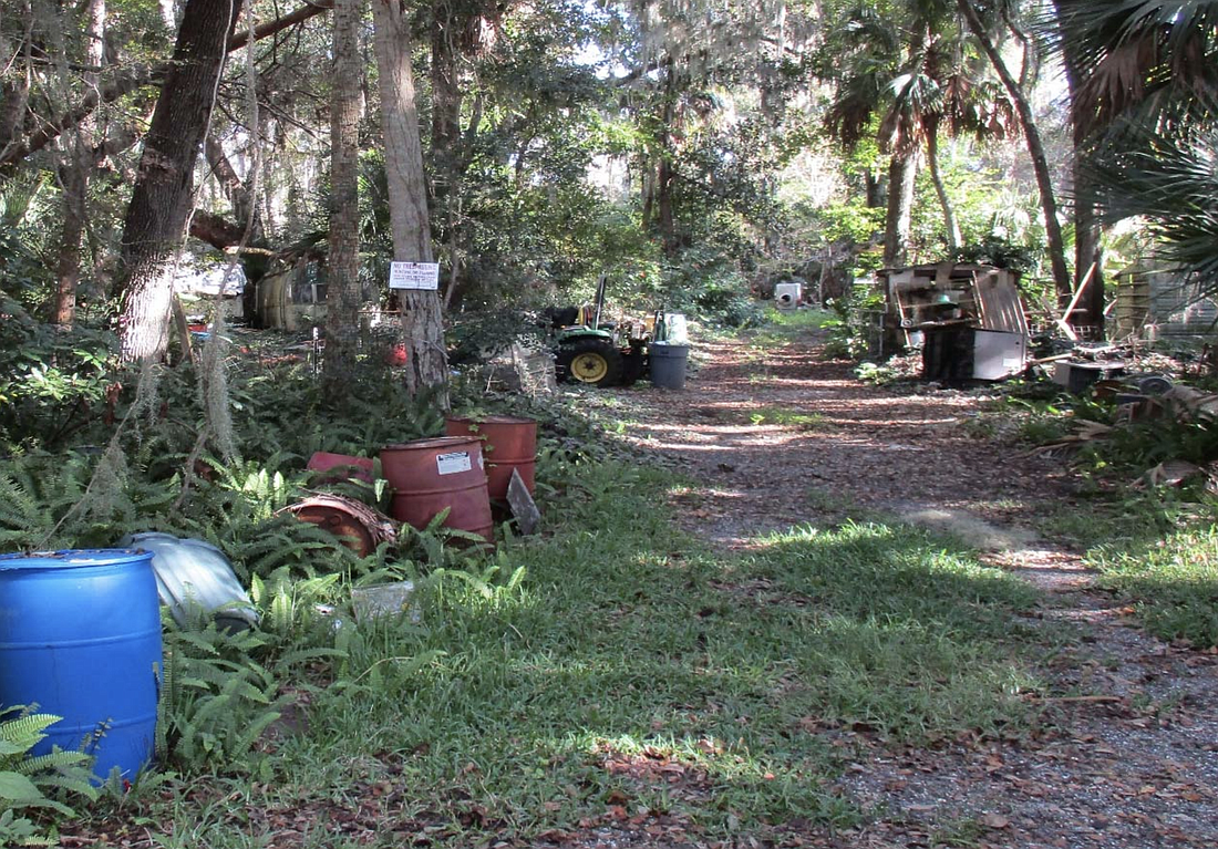 The city estimates clearing the 385 S. Old Kings Road could cost $175,000. Photo courtesy of the city of Ormond Beach