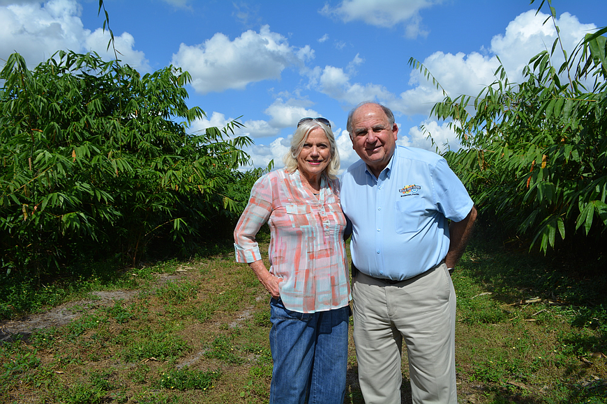 Mixon Fruit Farms co-owners Janet and Dean Mixon. The farm has a little more than 10 acres of bamboo planted mainly for the fruit. (File photo)