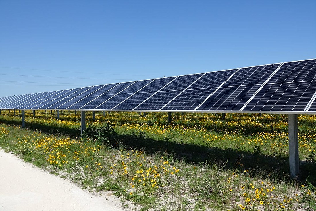 The Sambucus Solar Center will use tracker panels like these at the FPL Echo River Solar Energy Center in Wellborn, Florida.