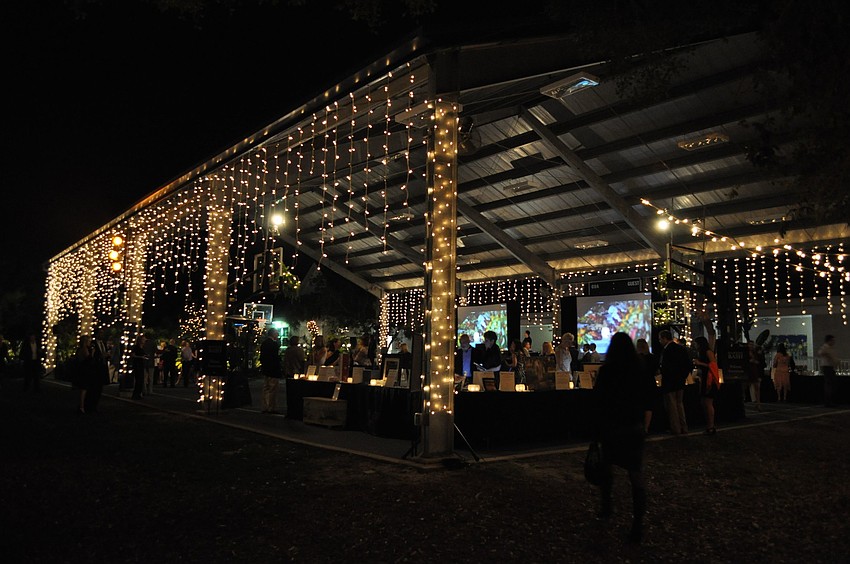 Thousands of lights hung from trees and the pavilion during the Banyan Bash.