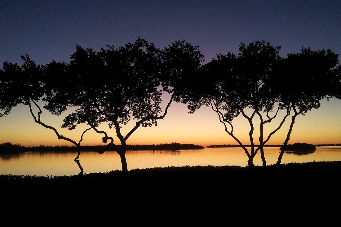 Cathy Cartier submitted this sunset photo, taken overlooking Sarasota Bay.