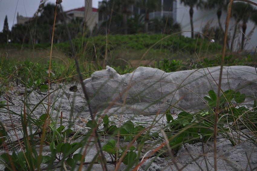 Eric Widitz sculpted a sand panther.
